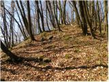 Zvodno - Tolsti vrh above Celjska koča